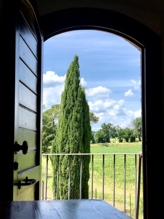 Casale Viridi - Nel Fresco Delle Colline Umbre *