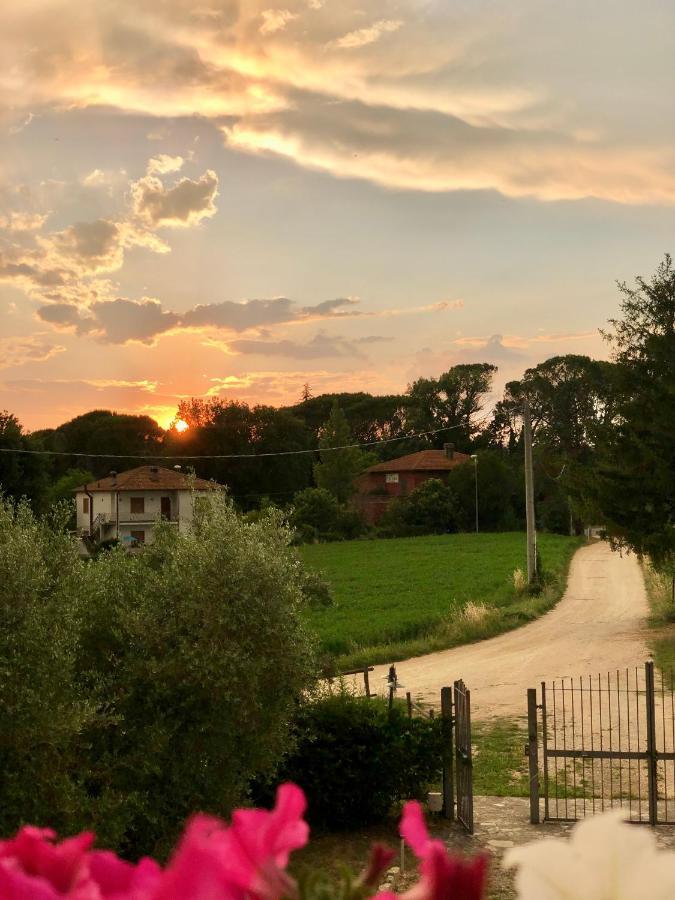 Casale Viridi - Nel Fresco Delle Colline Umbre *