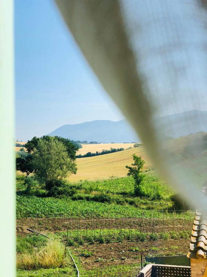 Casale Viridi - Nel Fresco Delle Colline Umbre
